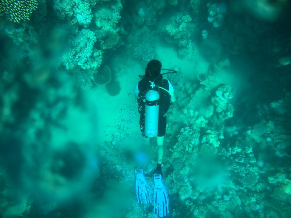 Comment organiser un camping pour une expédition de plongée en apnée en Méditerranée?